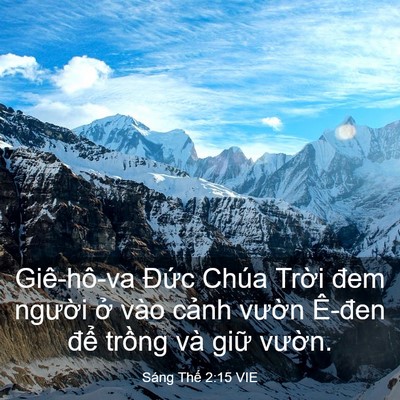 Picture 03 - Sáng Thế 2:15 VIE - Giê-hô-va Đức Chúa Trời đem người ở - Bible Verse Picture
