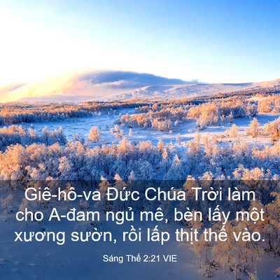 Picture 03 - Sáng Thế 2:21 VIE - Giê-hô-va Đức Chúa Trời làm cho A-đam - Bible Verse Picture