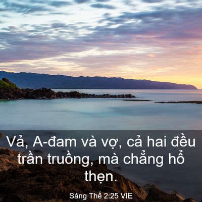 Picture 03 - Sáng Thế 2:25 VIE - Vả, A-đam và vợ, cả hai đều trần - Bible Verse Picture