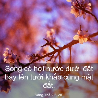 Picture 03 - Sáng Thế 2:6 VIE - Song có hơi nước dưới đất bay lên - Bible Verse Picture