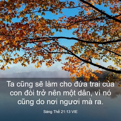 Picture 03 - Sáng Thế 21:13 VIE - Ta cũng sẽ làm cho đứa trai của con - Bible Verse Picture
