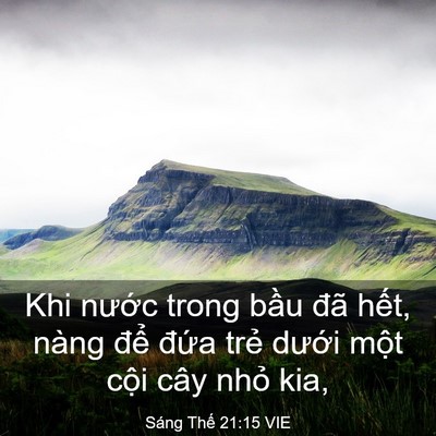 Picture 03 - Sáng Thế 21:15 VIE - Khi nước trong bầu đã hết, nàng để - Bible Verse Picture