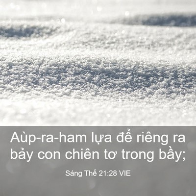 Picture 03 - Sáng Thế 21:28 VIE - Aùp-ra-ham lựa để riêng ra bảy con - Bible Verse Picture