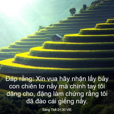 Picture 03 - Sáng Thế 21:30 VIE - Đáp rằng: Xin vua hãy nhận lấy bảy con - Bible Verse Picture