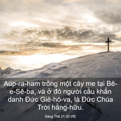 Picture 03 - Sáng Thế 21:33 VIE - Aùp-ra-ham trồng một cây me tại - Bible Verse Picture