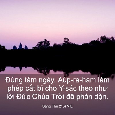 Picture 03 - Sáng Thế 21:4 VIE - Đúng tám ngày, Aùp-ra-ham làm phép cắt - Bible Verse Picture