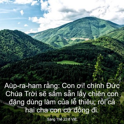 Picture 03 - Sáng Thế 22:8 VIE - Aùp-ra-ham rằng: Con ơi! chính Đức Chúa - Bible Verse Picture