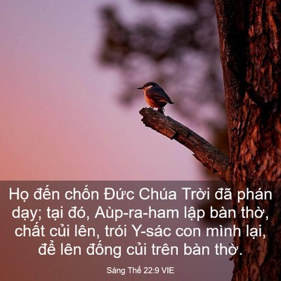 Picture 03 - Sáng Thế 22:9 VIE - Họ đến chốn Đức Chúa Trời đã phán - Bible Verse Picture