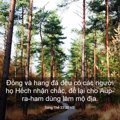 Picture 03 - Sáng Thế 23:20 VIE - Đồng và hang đá đều có các người - Bible Verse Picture