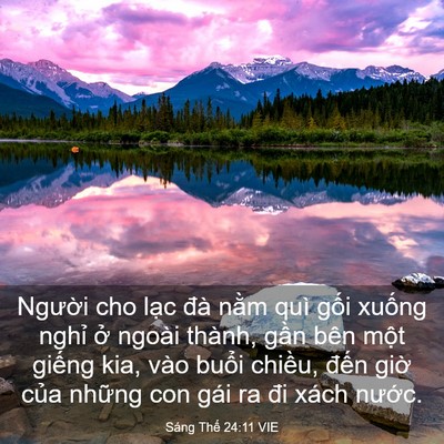 Picture 03 - Sáng Thế 24:11 VIE - Người cho lạc đà nằm quì gối xuống - Bible Verse Picture