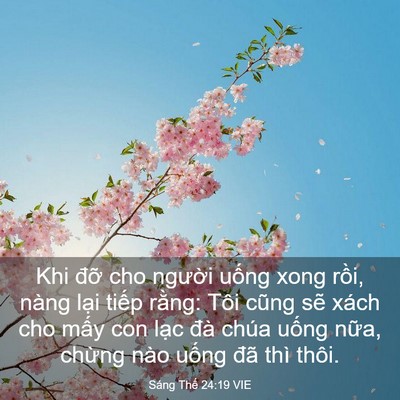 Picture 03 - Sáng Thế 24:19 VIE - Khi đỡ cho người uống xong rồi, nàng - Bible Verse Picture