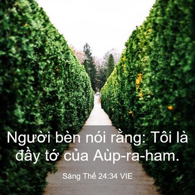 Picture 03 - Sáng Thế 24:34 VIE - Người bèn nói rằng: Tôi là đầy tớ - Bible Verse Picture