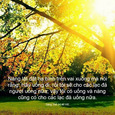 Picture 03 - Sáng Thế 24:46 VIE - Nàng lật đật hạ bình trên vai xuống - Bible Verse Picture
