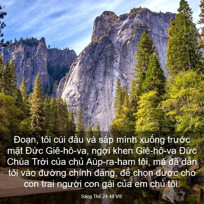 Picture 03 - Sáng Thế 24:48 VIE - Đoạn, tôi cúi đầu và sấp mình xuống - Bible Verse Picture