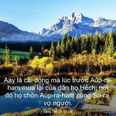 Picture 03 - Sáng Thế 25:10 VIE - Aáy là cái đồng mà lúc trước - Bible Verse Picture