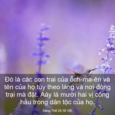 Picture 03 - Sáng Thế 25:16 VIE - Đó là các con trai của ỗch-ma-ên và - Bible Verse Picture