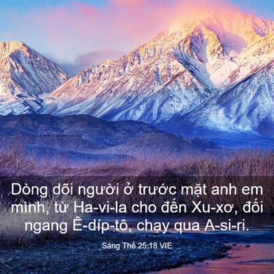 Picture 03 - Sáng Thế 25:18 VIE - Dòng dõi người ở trước mặt anh em - Bible Verse Picture