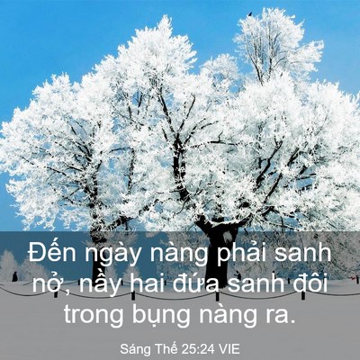 Picture 03 - Sáng Thế 25:24 VIE - Đến ngày nàng phải sanh nở, nầy hai - Bible Verse Picture