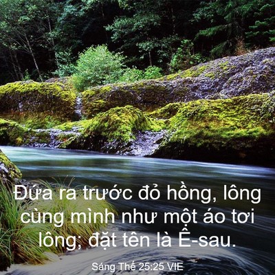 Picture 03 - Sáng Thế 25:25 VIE - Đứa ra trước đỏ hồng, lông cùng - Bible Verse Picture