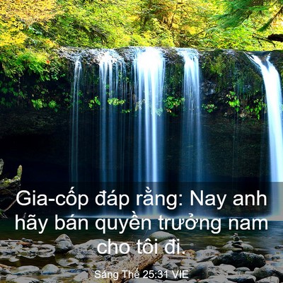 Picture 03 - Sáng Thế 25:31 VIE - Gia-cốp đáp rằng: Nay anh hãy bán quyền - Bible Verse Picture