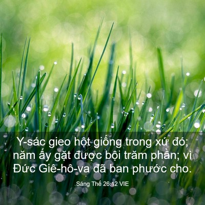 Picture 03 - Sáng Thế 26:12 VIE - Y-sác gieo hột giống trong xứ đó; năm - Bible Verse Picture