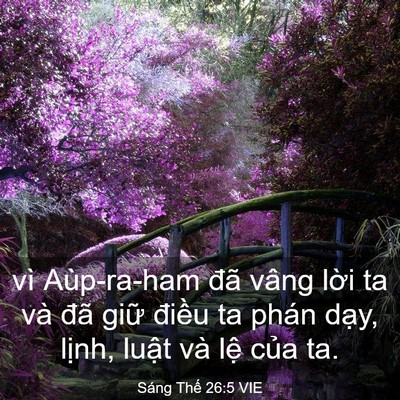 Picture 03 - Sáng Thế 26:5 VIE - vì Aùp-ra-ham đã vâng lời ta và đã - Bible Verse Picture