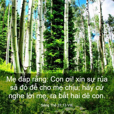 Picture 03 - Sáng Thế 27:13 VIE - Mẹ đáp rằng: Con ơi! xin sự rủa sả - Bible Verse Picture