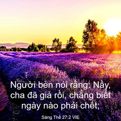 Picture 03 - Sáng Thế 27:2 VIE - Người bèn nói rằng: Nầy, cha đã già - Bible Verse Picture