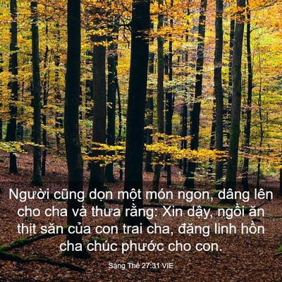 Picture 03 - Sáng Thế 27:31 VIE - Người cũng dọn một món ngon, dâng lên - Bible Verse Picture