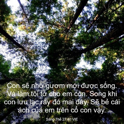 Picture 03 - Sáng Thế 27:40 VIE - Con sẽ nhờ gươm mới được sống. Và - Bible Verse Picture