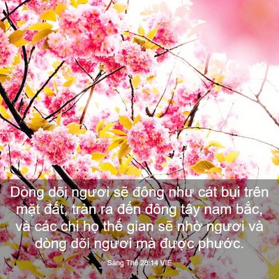 Picture 03 - Sáng Thế 28:14 VIE - Dòng dõi ngươi sẽ đông như cát bụi - Bible Verse Picture