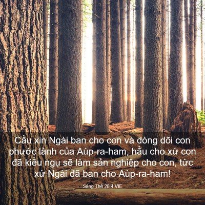 Picture 03 - Sáng Thế 28:4 VIE - Cầu xin Ngài ban cho con và dòng dõi con - Bible Verse Picture