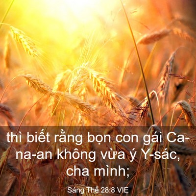 Picture 03 - Sáng Thế 28:8 VIE - thì biết rằng bọn con gái Ca-na-an không - Bible Verse Picture