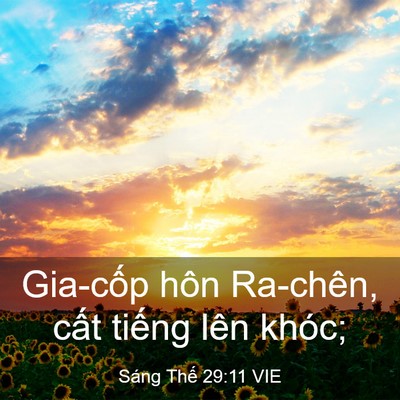Picture 03 - Sáng Thế 29:11 VIE - Gia-cốp hôn Ra-chên, cất tiếng lên - Bible Verse Picture