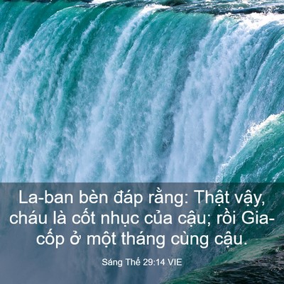 Picture 03 - Sáng Thế 29:14 VIE - La-ban bèn đáp rằng: Thật vậy, cháu là - Bible Verse Picture