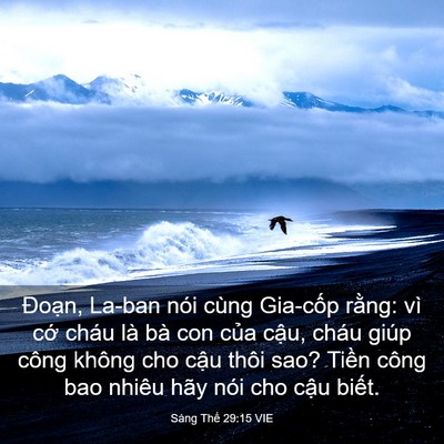 Picture 03 - Sáng Thế 29:15 VIE - Đoạn, La-ban nói cùng Gia-cốp rằng: vì - Bible Verse Picture