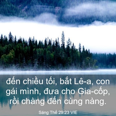 Picture 03 - Sáng Thế 29:23 VIE - đến chiều tối, bắt Lê-a, con gái - Bible Verse Picture