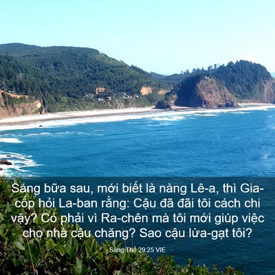Picture 03 - Sáng Thế 29:25 VIE - Sáng bữa sau, mới biết là nàng Lê-a, - Bible Verse Picture