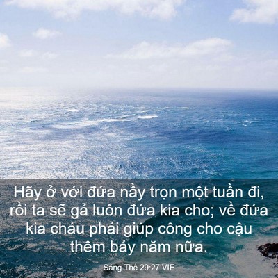 Picture 03 - Sáng Thế 29:27 VIE - Hãy ở với đứa nầy trọn một tuần - Bible Verse Picture