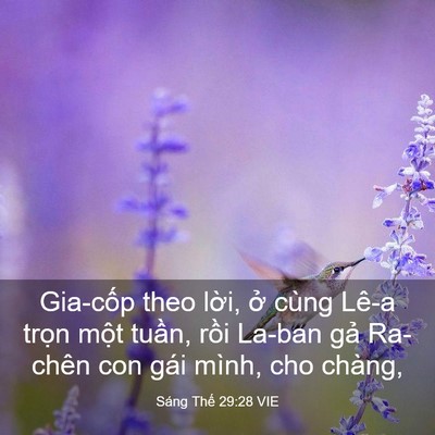 Picture 03 - Sáng Thế 29:28 VIE - Gia-cốp theo lời, ở cùng Lê-a trọn - Bible Verse Picture