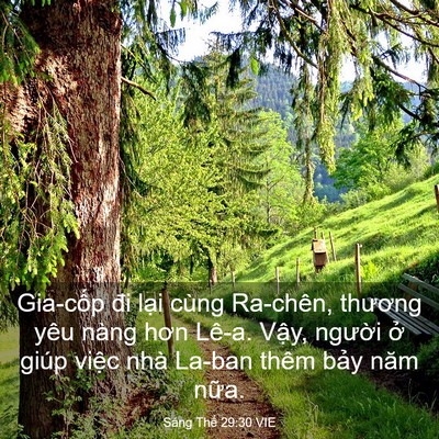 Picture 03 - Sáng Thế 29:30 VIE - Gia-cốp đi lại cùng Ra-chên, thương yêu - Bible Verse Picture