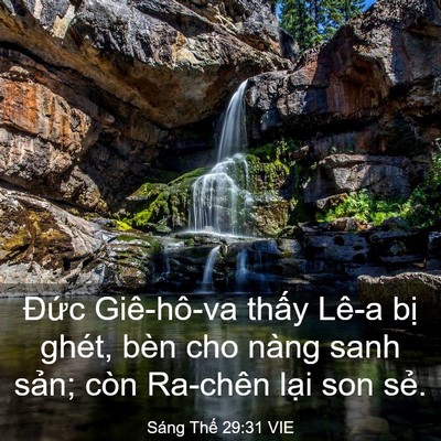 Picture 03 - Sáng Thế 29:31 VIE - Đức Giê-hô-va thấy Lê-a bị ghét, bèn - Bible Verse Picture