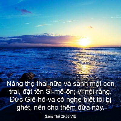Picture 03 - Sáng Thế 29:33 VIE - Nàng thọ thai nữa và sanh một con trai, - Bible Verse Picture