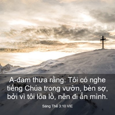 Picture 03 - Sáng Thế 3:10 VIE - A-đam thưa rằng: Tôi có nghe tiếng Chúa - Bible Verse Picture