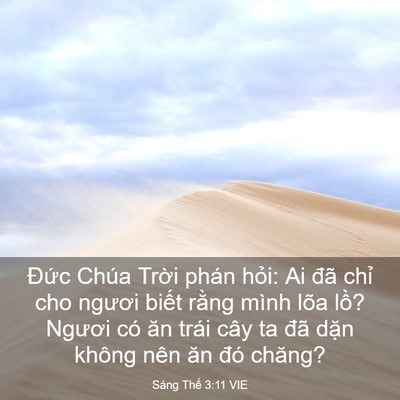 Picture 03 - Sáng Thế 3:11 VIE - Đức Chúa Trời phán hỏi: Ai đã chỉ - Bible Verse Picture