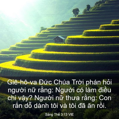 Picture 03 - Sáng Thế 3:13 VIE - Giê-hô-va Đức Chúa Trời phán hỏi - Bible Verse Picture