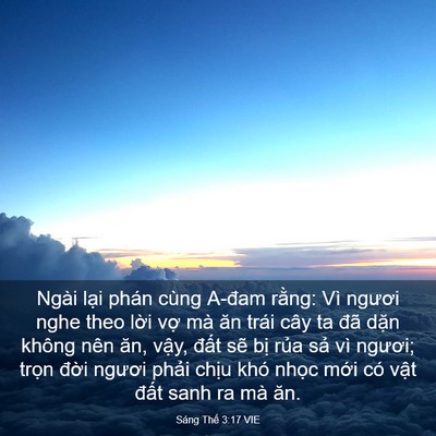 Picture 03 - Sáng Thế 3:17 VIE - Ngài lại phán cùng A-đam rằng: Vì - Bible Verse Picture