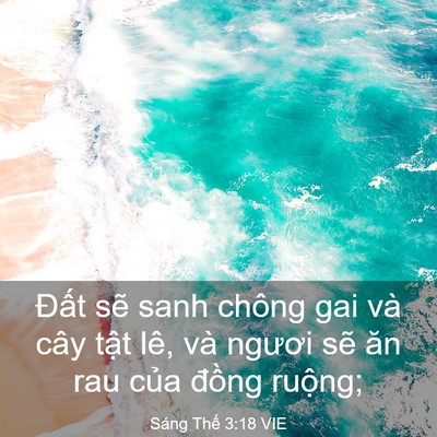 Picture 03 - Sáng Thế 3:18 VIE - Đất sẽ sanh chông gai và cây tật lê, - Bible Verse Picture