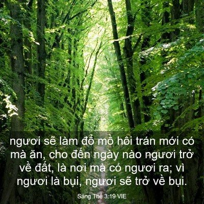 Picture 03 - Sáng Thế 3:19 VIE - ngươi sẽ làm đổ mồ hôi trán mới có - Bible Verse Picture