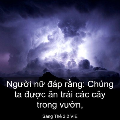 Picture 03 - Sáng Thế 3:2 VIE - Người nữ đáp rằng: Chúng ta được - Bible Verse Picture